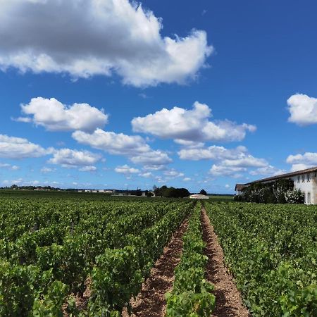 Bed and Breakfast Au Coeur Des Vignobles Сант- Эстеф Экстерьер фото