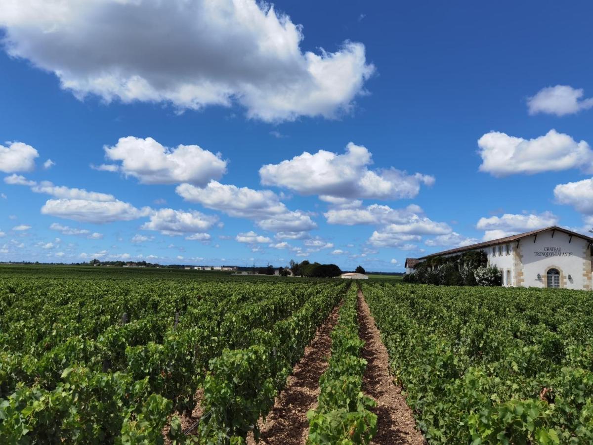 Bed and Breakfast Au Coeur Des Vignobles Сант- Эстеф Экстерьер фото